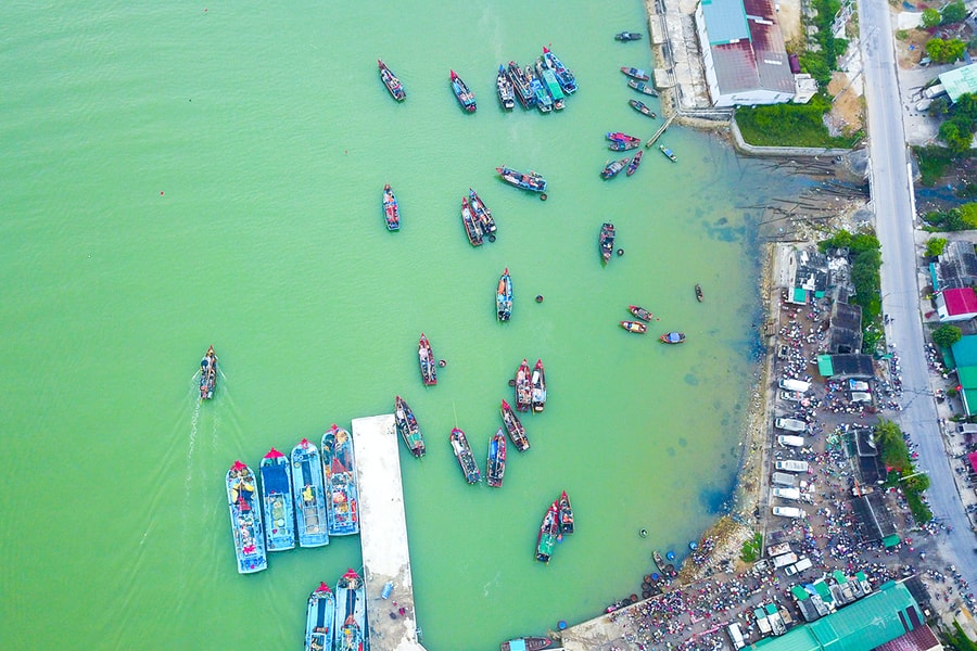 Đội thuyền 'nước mắm' Cửa Hội