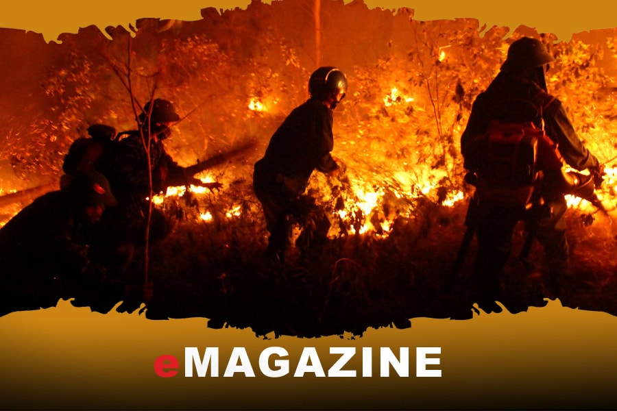 Ngăn chặn lửa rừng - Bài 2: Nhiều bất cập