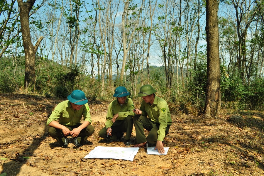 Sửa đổi, bổ sung một số nhiệm vụ, quyền hạn của Kiểm lâm và Lực lượng chuyên trách bảo vệ rừng