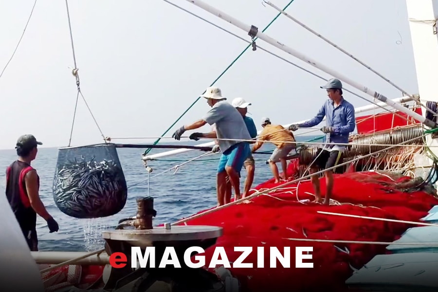 Gỡ khó cho 'tàu 67' - Bài cuối: Cần tiếng nói chung để sớm có giải pháp