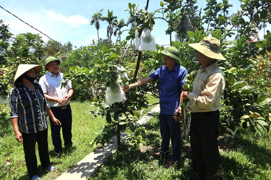 Nông dân Nghệ An phải thể hiện rõ vai trò chủ thể trong xây dựng nông thôn mới