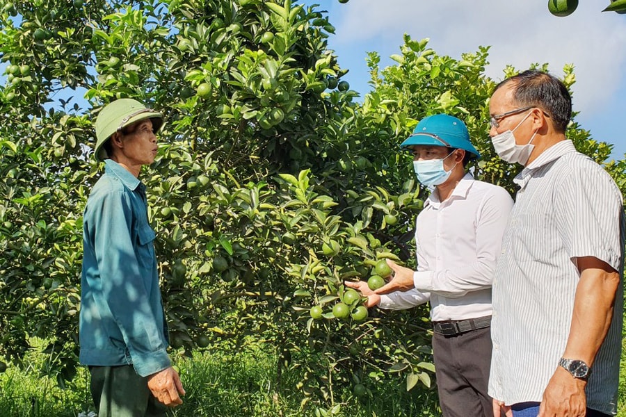 Nâng cao sức chiến đấu của Đảng từ chi bộ