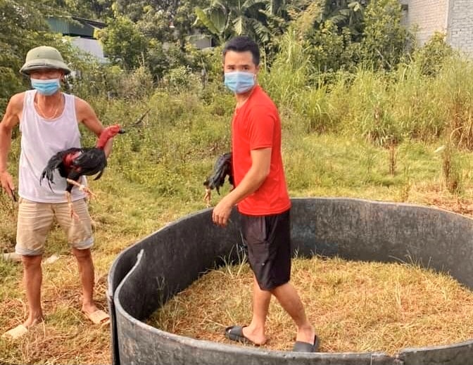 Rủ nhau đá gà trong thời điểm cách ly xã hội, hai người đàn ông ở Nghệ An bị xử phạt