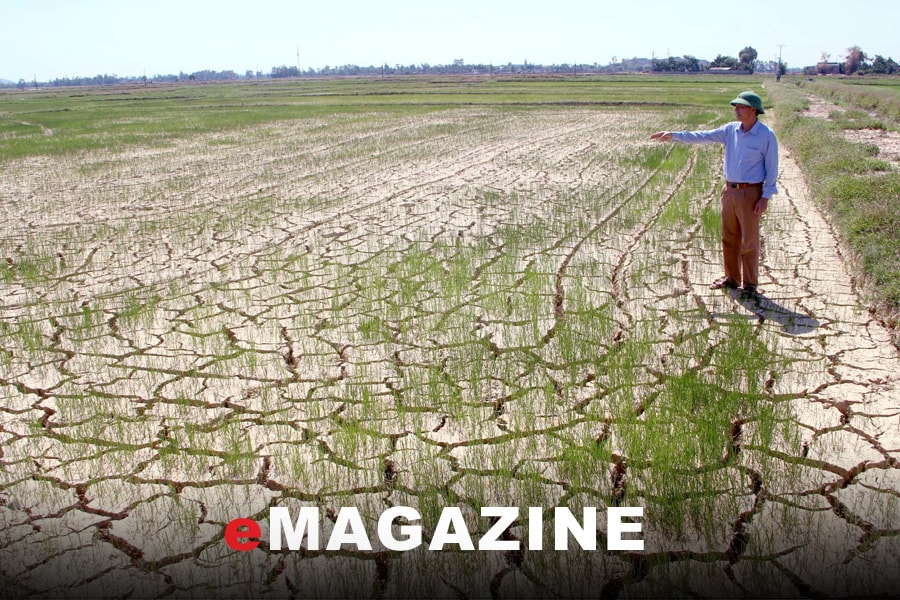 Nâng cao năng lực hệ thống thủy lợi chống biến đổi khí hậu ở Nghệ An: