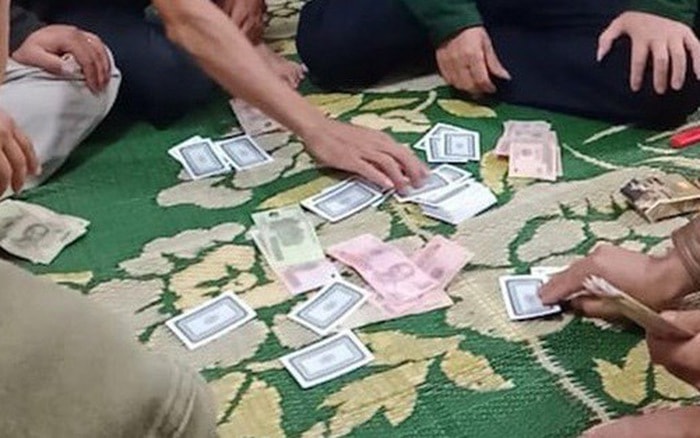 Nghệ An: Triệt phá sới bạc trên đồi keo, bắt giữ 20 đối tượng