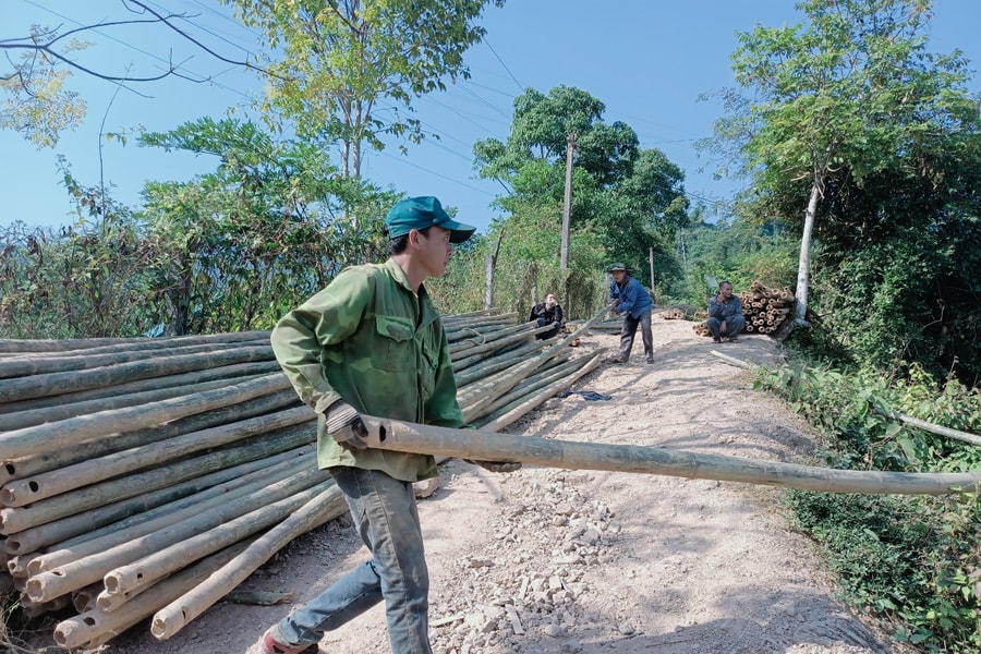 Người dân vùng cao Nghệ An vào mùa khai thác tre, mét