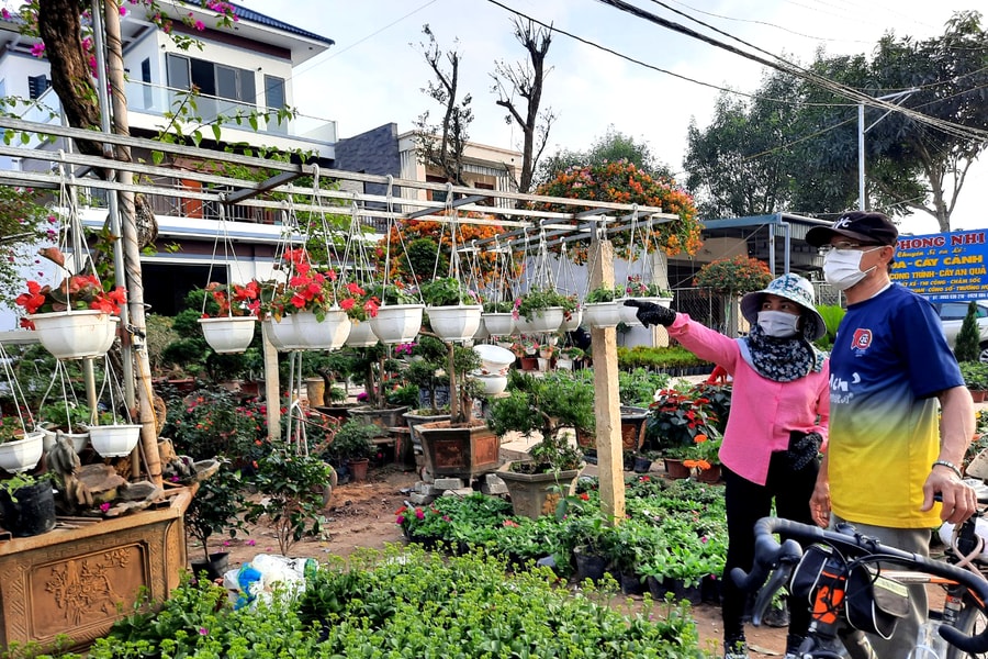 Nghệ An: Sôi động thị trường hoa, cây cảnh tết 