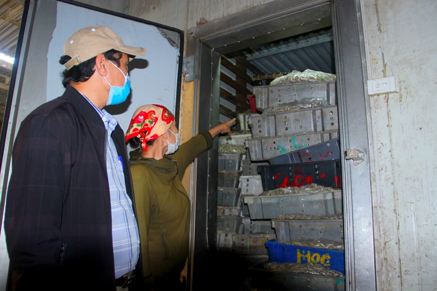 Trung Quốc đóng biên, hải sản Nghệ An tìm hướng tiêu thụ nội địa