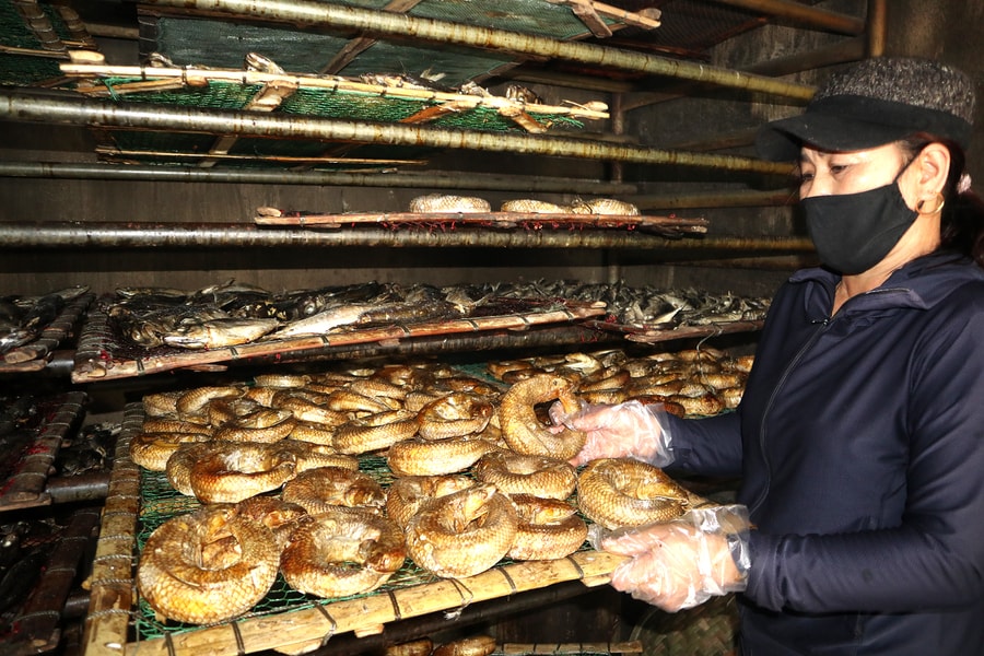 Cá 'ông trời' của ngư dân Cửa Lò đắt hàng dịp cận Tết