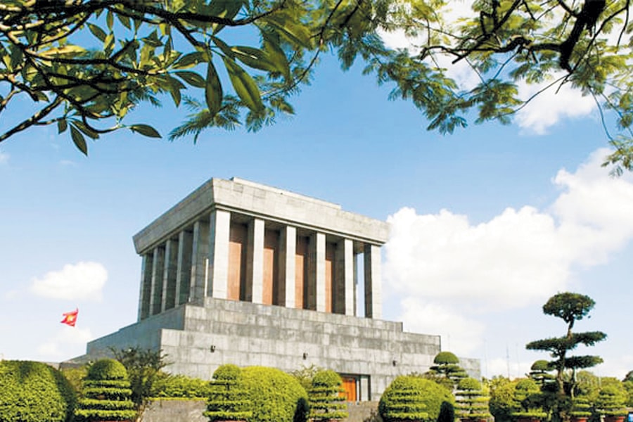 Chuyện đưa cây quý từ Nghệ An trồng tại Lăng Bác