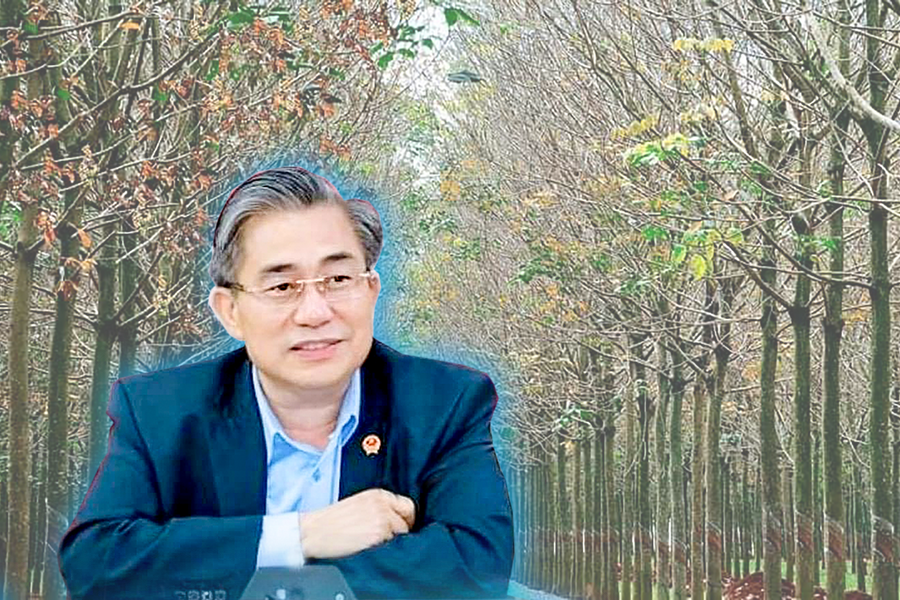 Công ty CP Đầu tư phát triển Cao su Nghệ An: