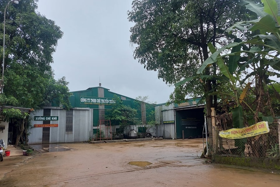 Ban Nội chính Tỉnh ủy đề nghị xử lý nghiêm sai phạm đất đai ở xã Thanh Mai