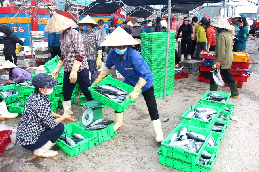 Ngư dân Nghệ An linh động ứng phó với giá nhiên liệu tăng vọt