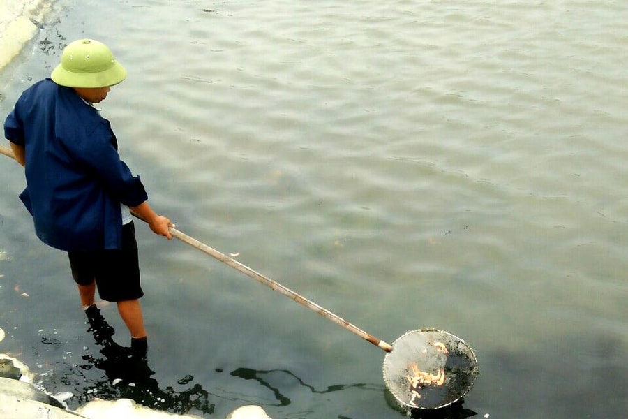 Nghệ An: Tôm nuôi chết hàng loạt, dân thất thu tiền tỷ 