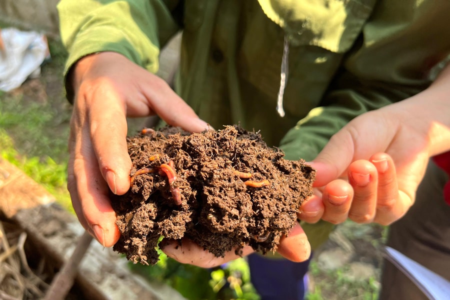 Hướng đi mới tạo sinh kế bền vững cho người dân Quỳ Hợp