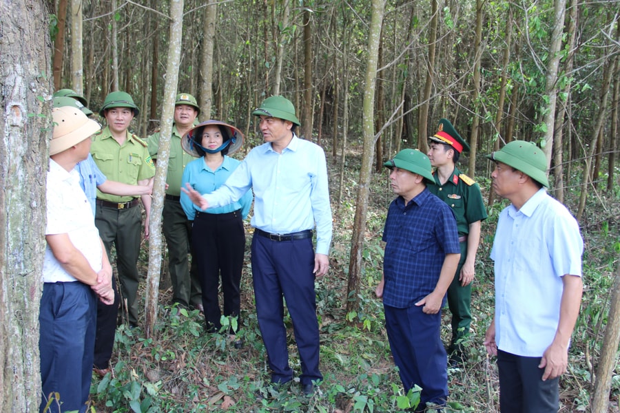 Phó Chủ tịch UBND tỉnh kiểm tra công tác phòng, chống cháy rừng ở Quỳnh Lưu