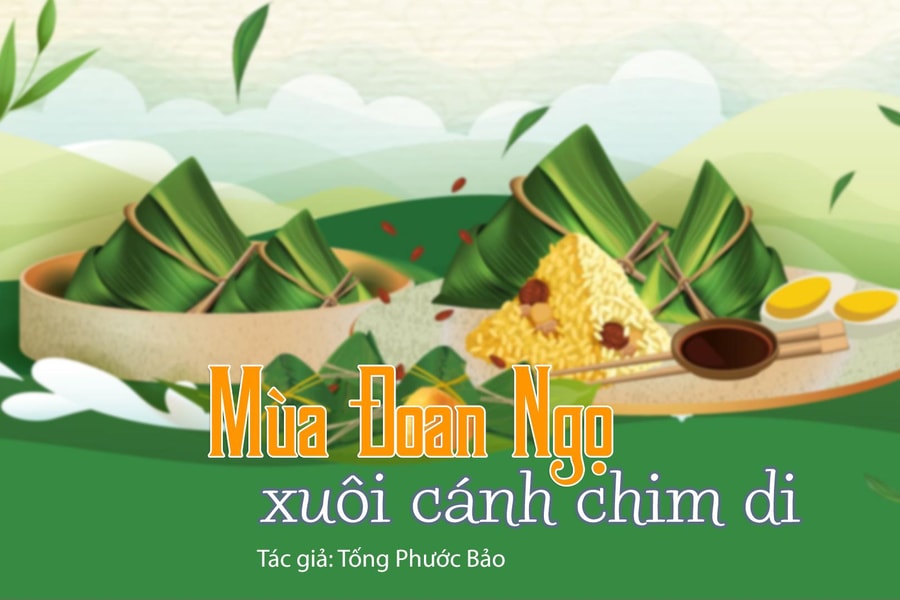 Tản văn hay: Xuôi cánh chim di