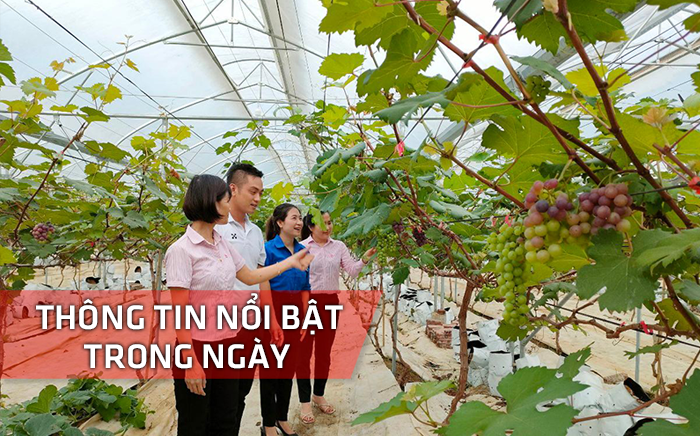 Nghệ An: Thông tin nổi bật ngày 26/6