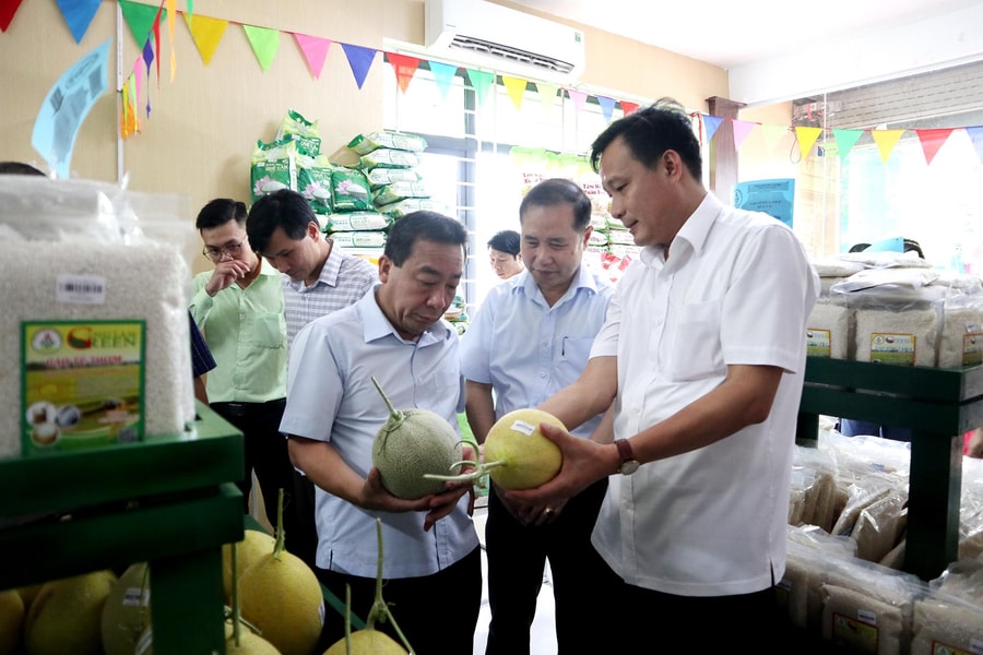 Đại lý Sông Lam Green - nơi kết nối dòng sản phẩm nông, lâm nghiệp năng lượng xanh với người tiêu dùng