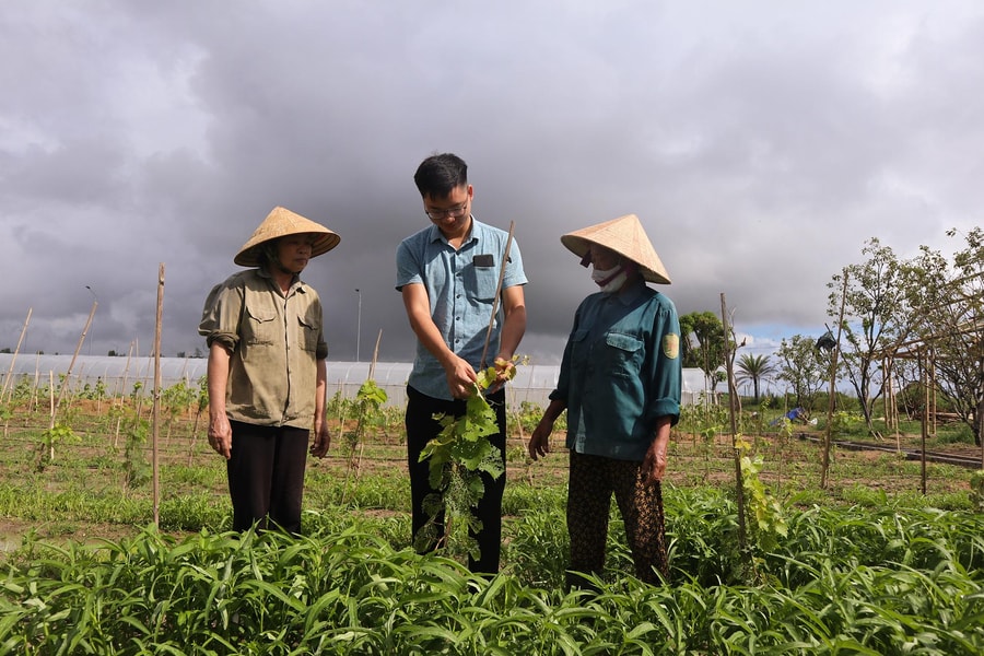 Làm bật lên mầm xanh trên đất hoang
