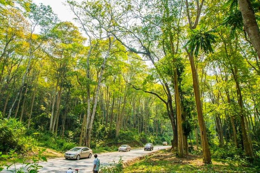 Sớm hoàn thiện chính sách, đưa Khu dự trữ sinh quyển miền Tây Nghệ An hoạt động hiệu quả