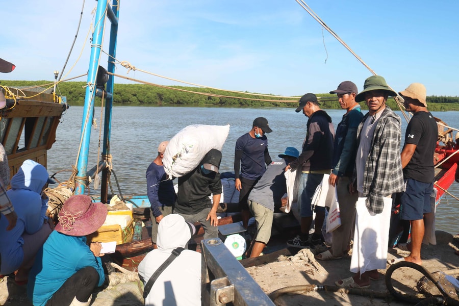 Nhộn nhịp mùa săn sò biển ở Diễn Châu