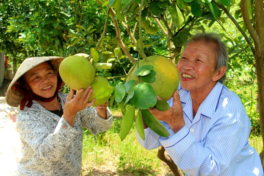 Nhân rộng vườn chuẩn nông thôn mới ở Tân Kỳ