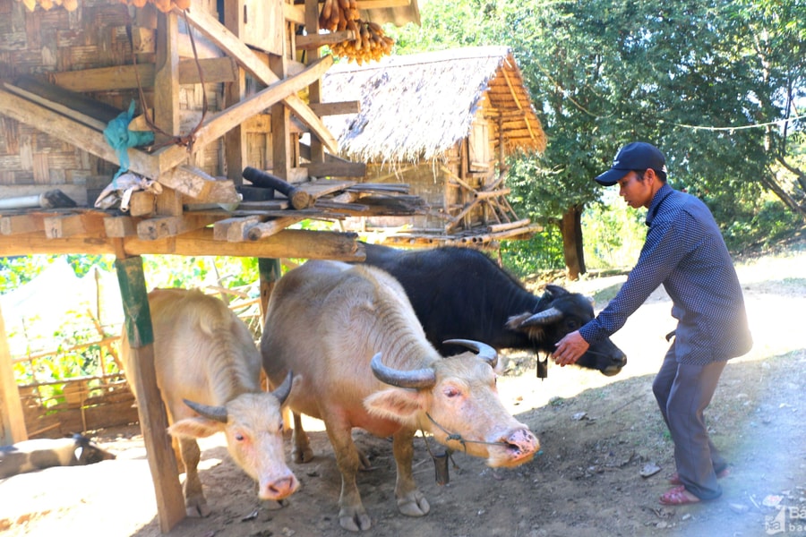 Nông dân Kỳ Sơn chật vật phục hồi sản xuất sau lũ quét