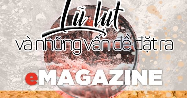 Lũ lụt và những vấn đề đặt ra: Bài 4: Bài học giữ rừng đầu nguồn