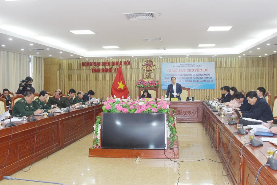 Đoàn đại biểu Quốc hội tỉnh làm việc với các sở, ngành cấp tỉnh về huy động, quản lý, sử dụng nguồn lực phòng, chống Covid-19 