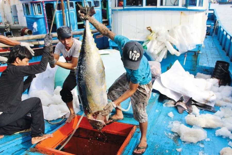 Chấm dứt tình trạng tàu cá khai thác bất hợp pháp trước ngày 31/3/2023