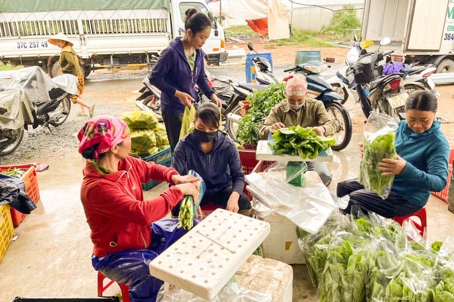 Giá rau xanh cận Tết bất ngờ ‘hạ nhiệt’