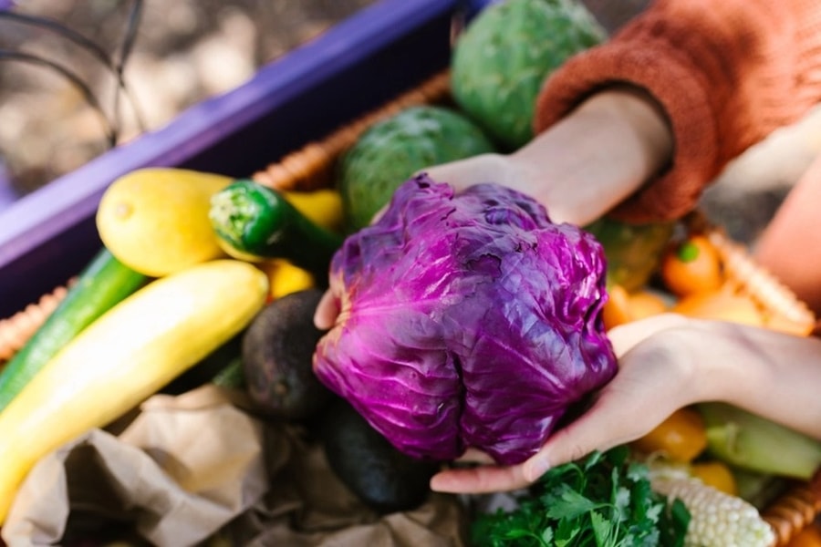 4 lợi ích sức khỏe của thực phẩm màu tím