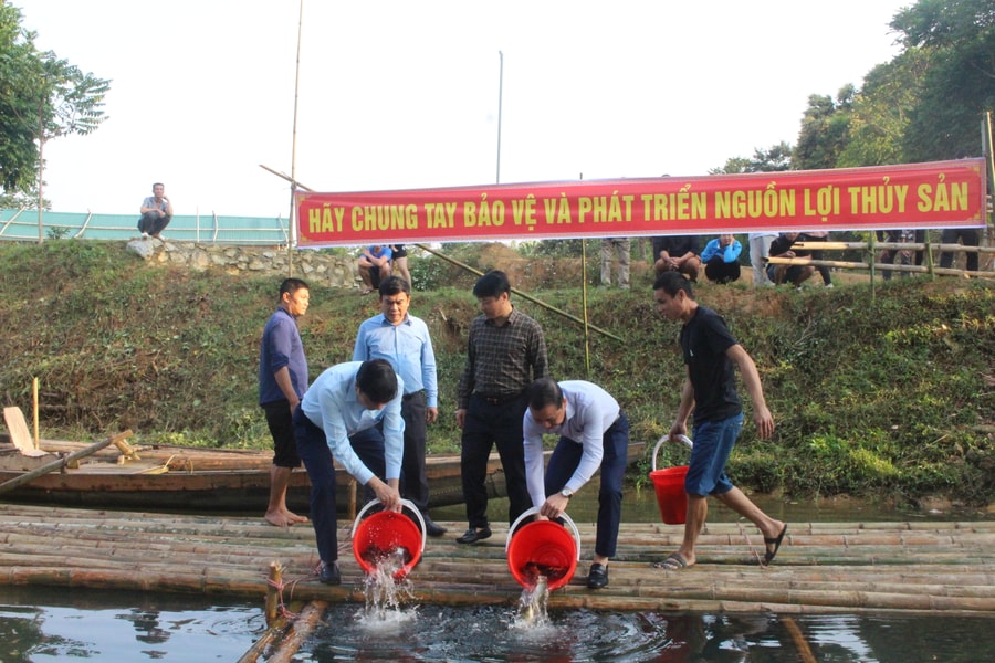 Nghệ An thả gần 2 tấn cá giống xuống lưu vực sông Lam để tái tạo nguồn lợi thủy sản