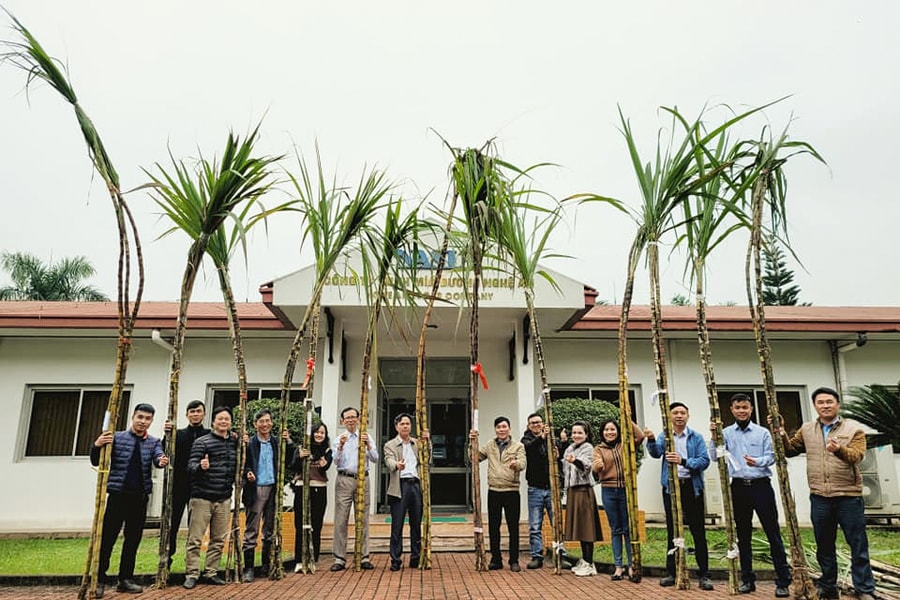 Độc lạ cuộc thi ‘hoa hậu mía' ở Nghệ An