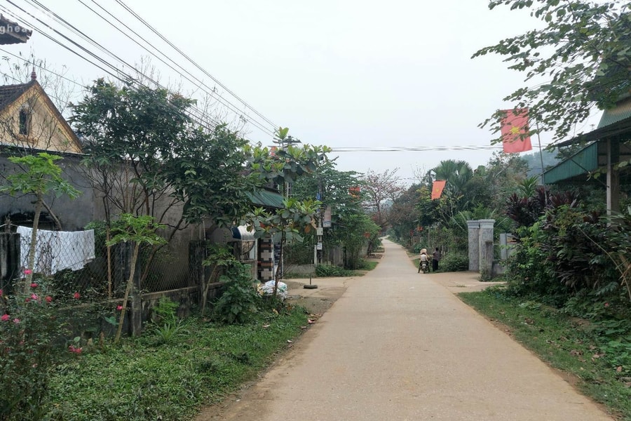 Cán bộ địa chính xã bị buộc thôi việc ở Nghệ An đã ‘Lạm dụng chức vụ quyền hạn chiếm đoạt tài sản’ như thế nào?