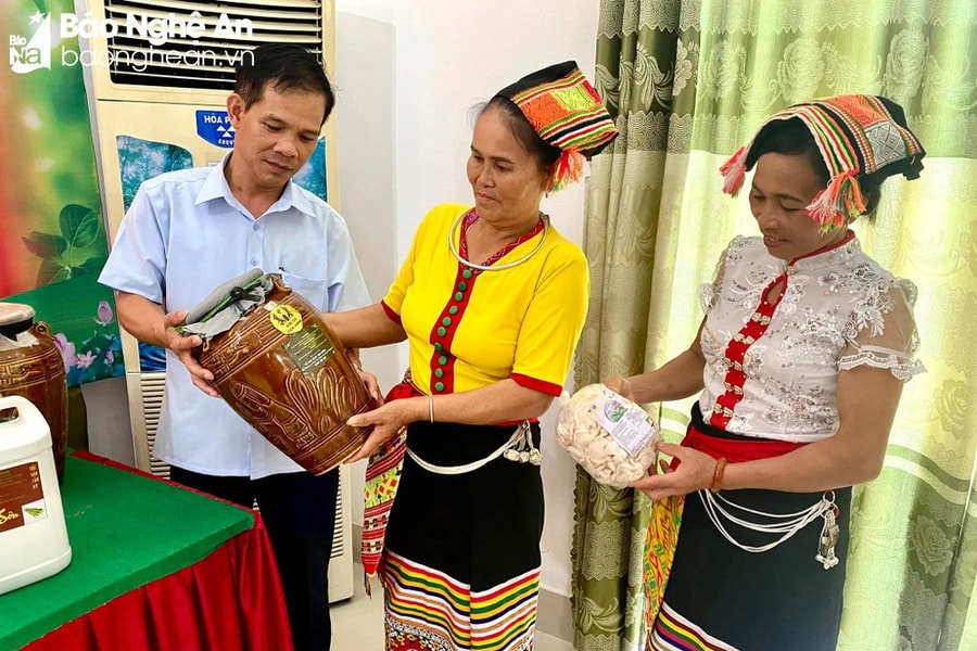 Tân Kỳ đã có 20 sản phẩm được công nhận 3 sao OCOP