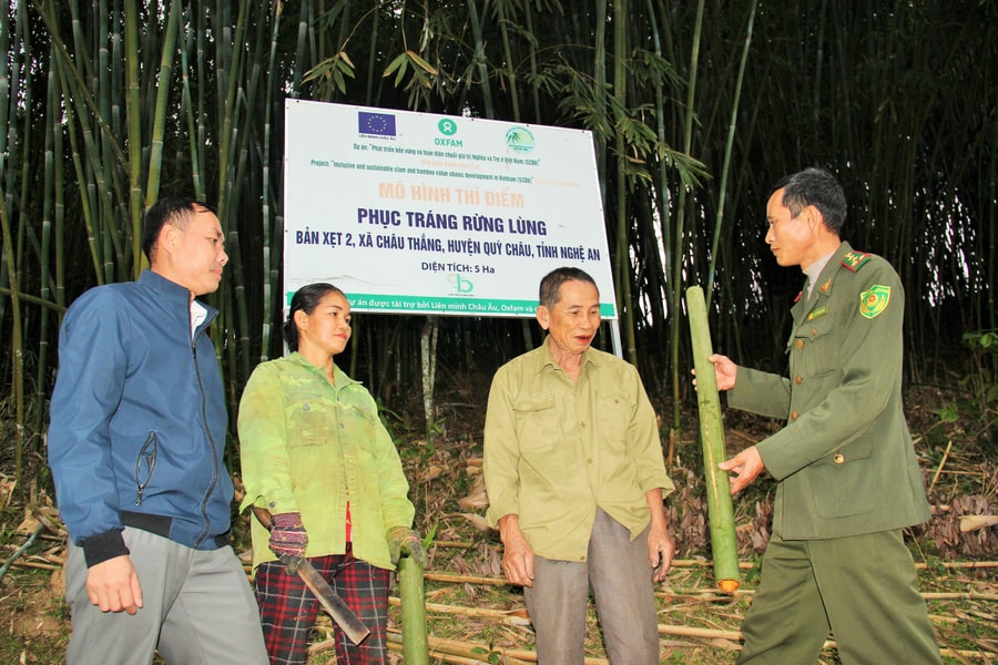 Đẩy mạnh xúc tiến, vận động viện trợ phi chính phủ nước ngoài