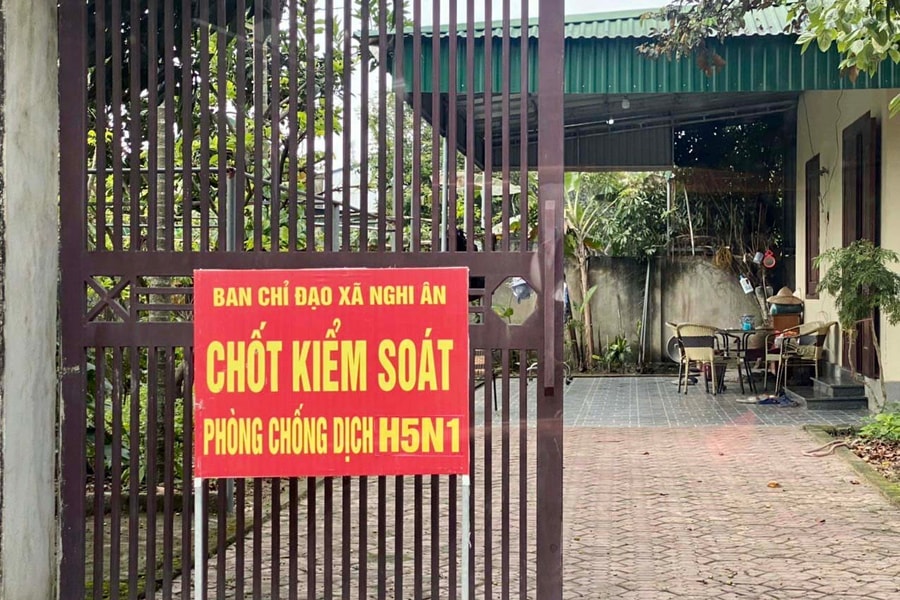 Thành phố Vinh tiêu hủy 2.500 con gia cầm nhiễm H5N1 