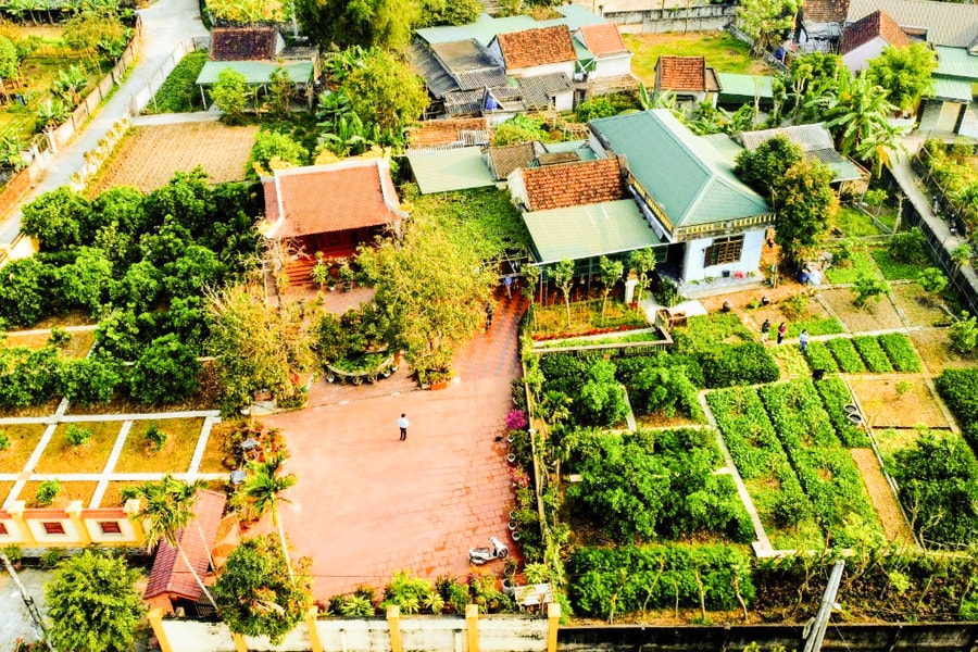 Chiêm ngưỡng vườn chuẩn nông thôn mới đẹp nhất Nghệ An