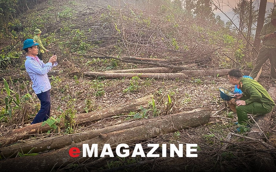 Kiến nghị sau vụ phá rừng trên núi Giăng Màn