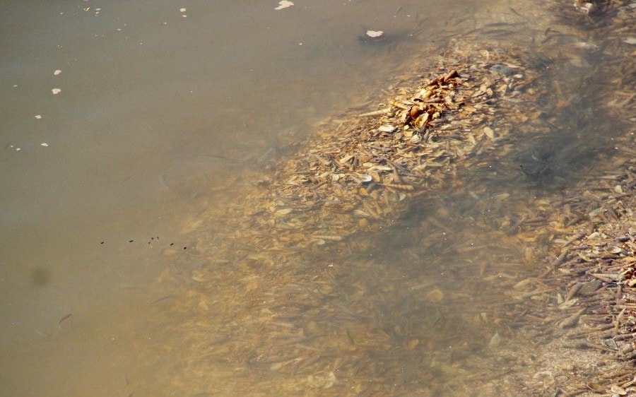 Khó khăn chống ô nhiễm nguồn nước ở Diễn Châu