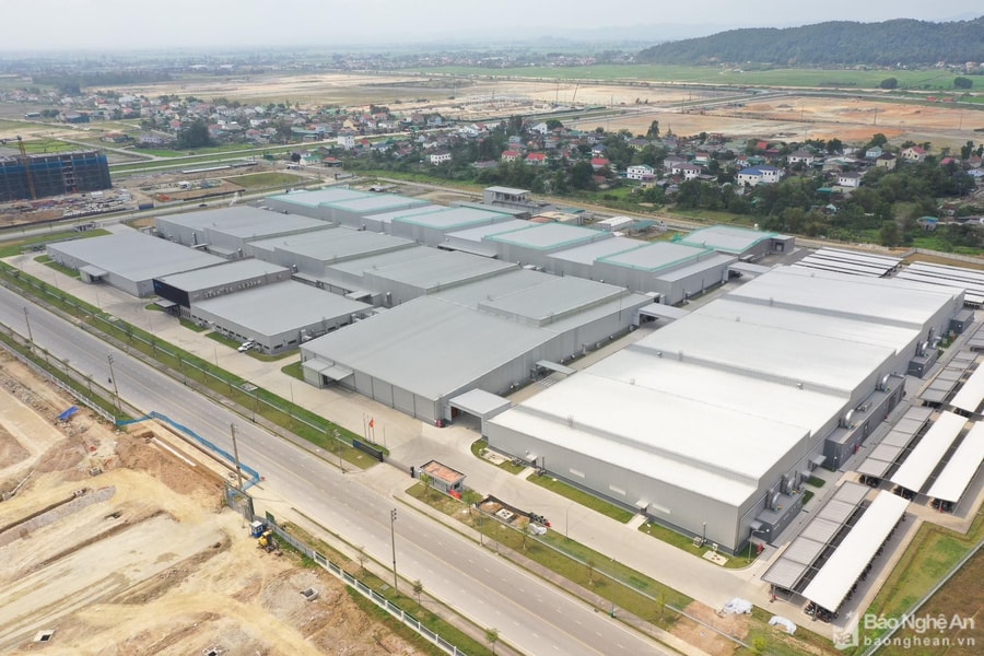 Nghệ An có 15 doanh nghiệp xuất hàng sang Nhật 