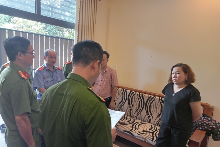 Bắt tạm giam nữ giám đốc công ty trốn thuế hàng tỷ đồng