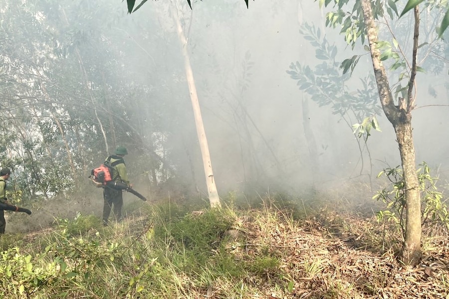Huy động nhanh mọi lực lượng chữa cháy rừng ở huyện Nam Đàn 