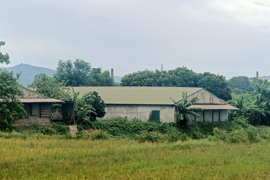 Người dân thành phố Vinh 'kêu trời' vì trang trại chăn nuôi gây ô nhiễm 