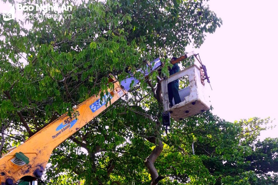 Nghệ An có 5 công ty cổ phần sẽ thực hiện thoái vốn trong giai đoạn 2024-2025