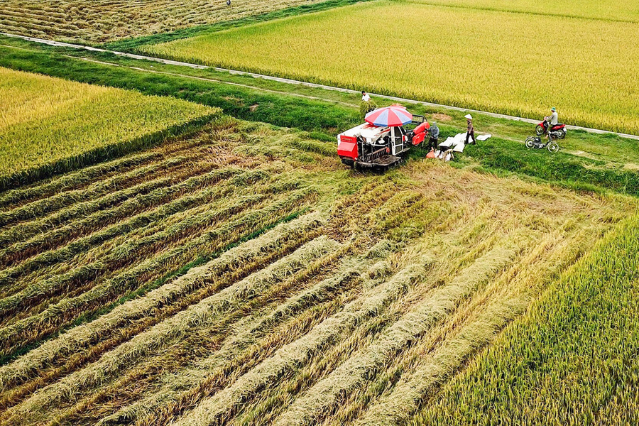 Thực hiện tốt các định hướng, mục tiêu về Nông nghiệp và Phát triển nông thôn