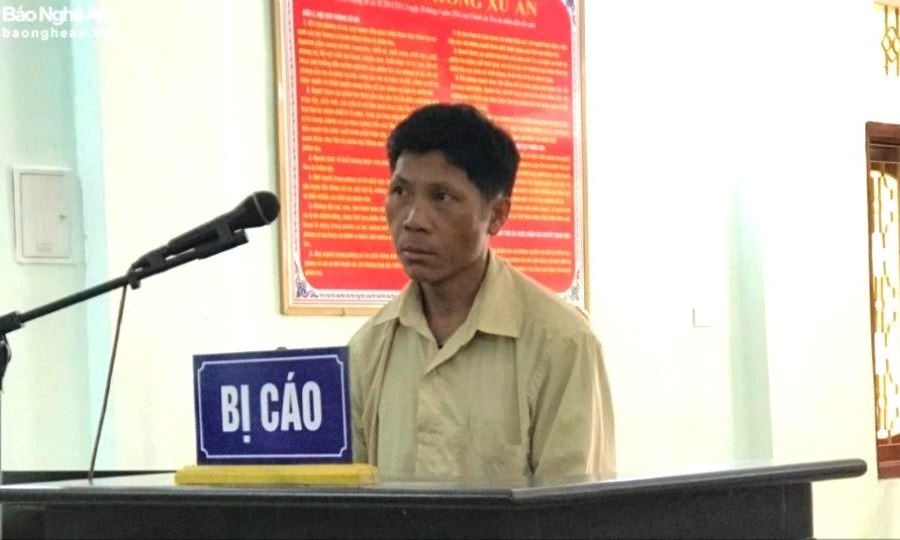 Vào rừng phòng hộ xẻ gỗ về làm nhà, người đàn ông lĩnh án