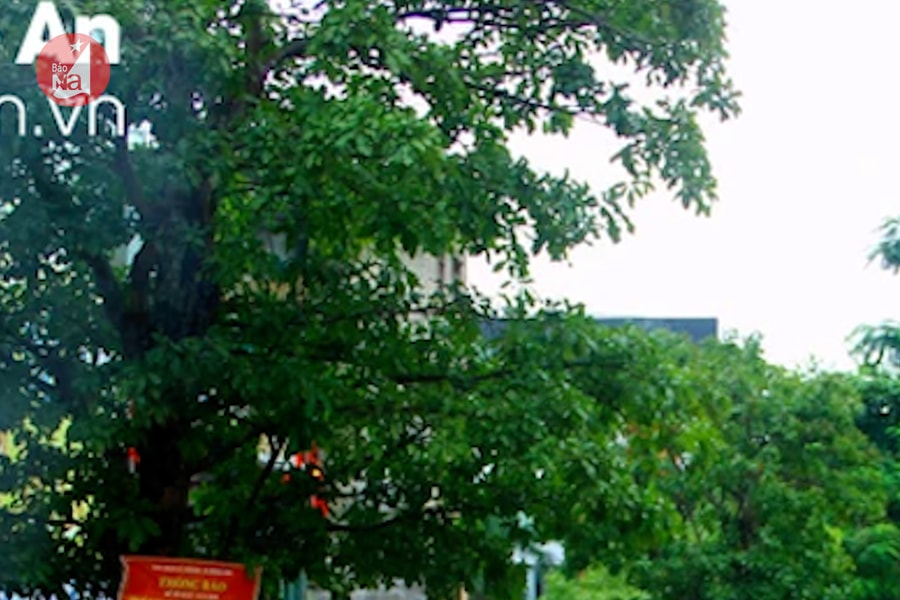 Điểm tin ngày 8/10